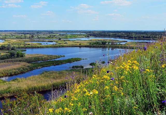 Червневі береги Ворскли