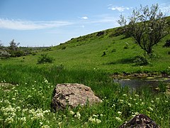 Балка Северная Червоная