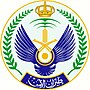صورة مصغرة لـ القيادة العامة لطيران الأمن (السعودية)