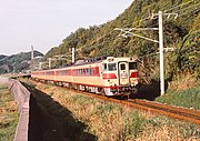 Diesel train on tracks near coastline and forest