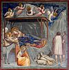 Рождение Иисуса - Capella dei Scrovegni - Padua 2016.jpg