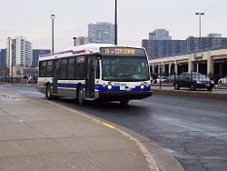 Brampton Transit Nova LFS 0601.jpg