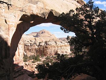 Il Capitol Reef National Park nell'Utah.