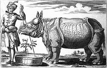 Clara, the rhinoceros, that travelled throughout Europe in the mid-18th century. Engraving by Elias Baeck from 1746.