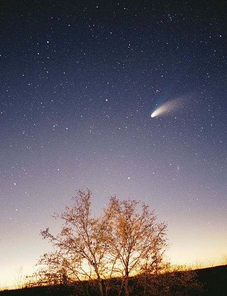 Cometa Hale-Bopp. Autore Philipp Salzgeber.