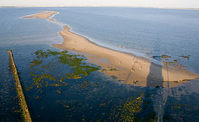 Vue d'une partie du plateau de Cordouan en direction du nord-est depuis le phare avec le récif rocheux et les bancs de sable ; la côte charentaise est visible dans le lointain.