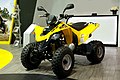 Can-Am DS