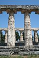 Дорийски колони на храма на Атина в Пестум, Италия
