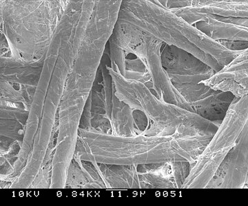 Escaneado de papel de filtro ampliado 840 veces en un microscopio electrónico de barrido