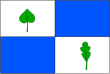 Vlag