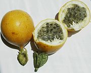 甜百香果 Sweet granadilla