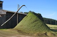 Häckselabfall bei der Hopfenernte