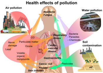 Overview of main health effects on humans from some common types of pollution Health effects of pollution.png