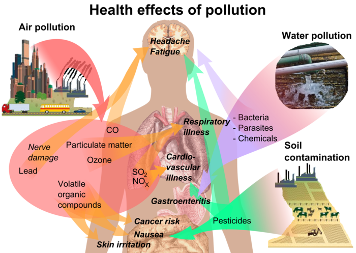 Health effects of pollution image