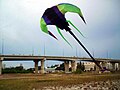 flying at impian kite flying field