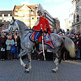 A Guard Hussar in mounted parade uniform, including the red pelisse, sabretache and shabraque