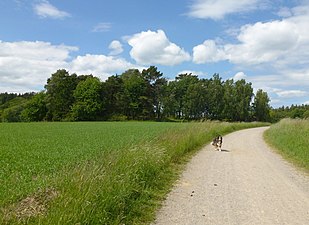 Kullen och kyrkvägen.