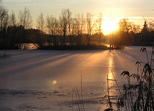 Decembersol över Långsjön