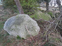 Das Großsteingrab an der Kölkesdose