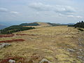 Rücken des Tanargue-Massivs (1511 m)