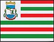 Vlag van Liberato Salzano