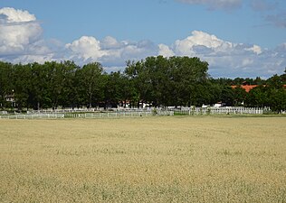 Menhammars hästhagar och kulturlandskap.