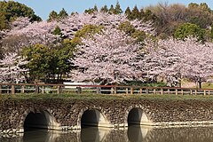 Odai Park, Higashiura-cho 2011.JPG