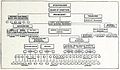 Organization Chart of a large Company Manufacturing Stoves, 1914