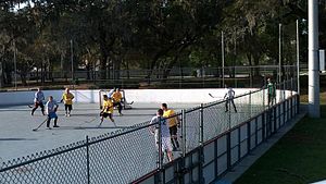 Организованная Dek Hockey League.jpg