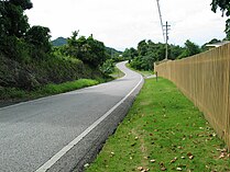 A stretch of Puerto Rico Highway 505 (PR-505) southbound in Barrio Machuelo Arriba, Ponce, Puerto Rico