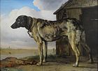 Волкодав (Цепная собака). Между 1650 и 1652. Холст, масло. Государственный Эрмитаж, Санкт-Петербург