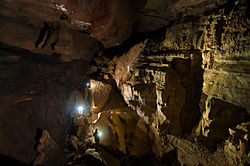 A view of the first room of Pettyjohn Cave, showing spelunkers with flashlights.
