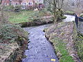 Confluence with River Beal