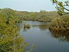 The ponds to the north of Red Moor SSSI, created from old tin mining pits