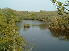 Redmoor nature reserve - geograph.org.uk - 169870.jpg