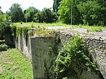 Ruines du vieux pont de pierre, Saint-Florent-sur-Cher.