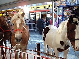 Houtem Jaarmarkt