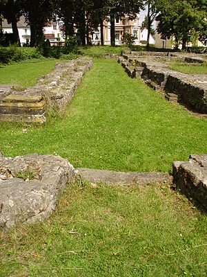 Goslar Stiftsruine St. Georg: Geschichte, Literatur, Einzelnachweise