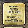 Stolperstein Kettenhofweg 73 Alfred Steinhardt