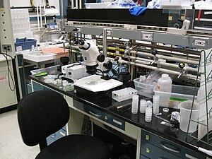 Synthetic Biology Research at NASA Ames Research Center Synthetic Biology Research at NASA Ames.jpg