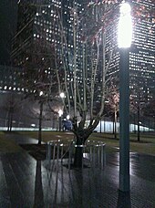 Безлистное городское дерево ночью, с уличным фонарем на переднем плане