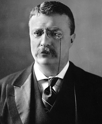 English: Theodore Roosevelt, circa 1902