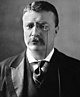 Theodore Roosevelt circa 1902.jpg