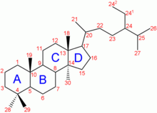 Ciclopentanoperhidrofenantreno esteroides