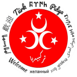 Logo de Turkpidya