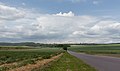 zwischen Bergweiler und Wittlich, Panorama