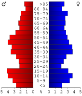 Bevolkingspiramide Holt County