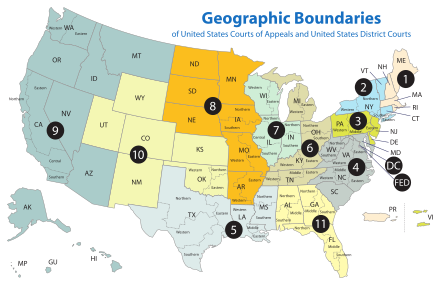 U.S. Courts of Appeals circuits US Court of Appeals and District Court map.svg