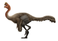 Zamyn Khond oviraptorid