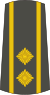 13-Serbian Army-LTC.svg